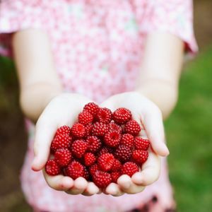 Inspired by a healthy life - Luscious berries for a healthy life.jpg